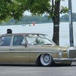 Spot of the Day Series